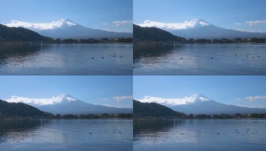 富士山和水鸟景观1高清在线视频素材下载