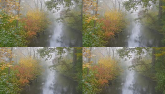 秋天雾蒙蒙的早晨，在一条美丽如画的小河上，树木被黄色的落叶包围着。秋天的美学高清在线视频素材下载