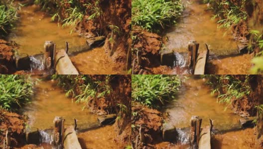 一条小河流，水流在棕色的土壤和棕色的竹子的顶部高清在线视频素材下载