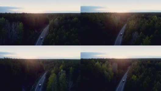 日落时分，空中汽车在漆黑的松林中行驶高清在线视频素材下载