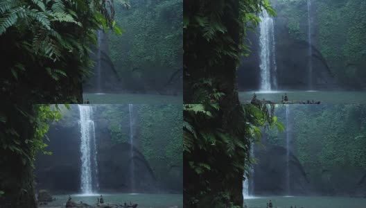揭示丛林中的瀑布高清在线视频素材下载