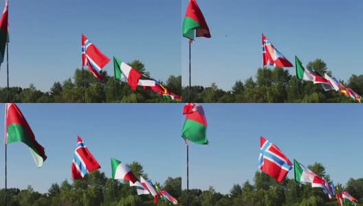 不同州的旗帜随风飘扬。许多不同国家的国旗在风中飘扬高清在线视频素材下载