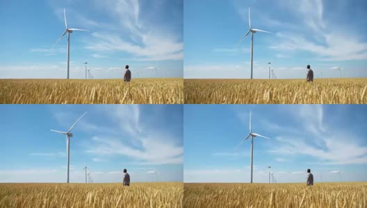 人们在黄色的麦田里用风车发电高清在线视频素材下载