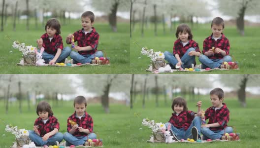 两个孩子，男孩兄弟，吃着巧克力兔子，玩着复活节彩蛋在公园里，美丽的春天盛开的花园高清在线视频素材下载