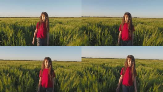 麦田里的女孩高清在线视频素材下载