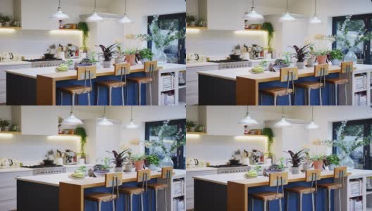 美丽的厨房内景岛柜台和家庭家庭植物-在慢镜头拍摄高清在线视频素材下载