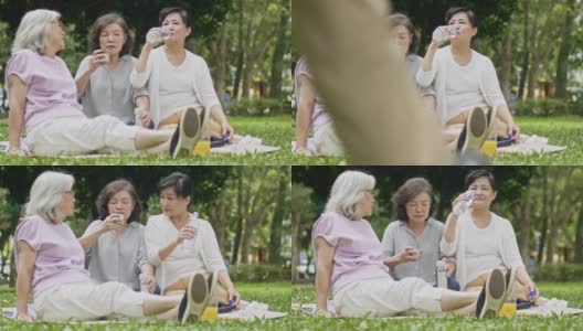 高级女性朋友在公园里放松高清在线视频素材下载