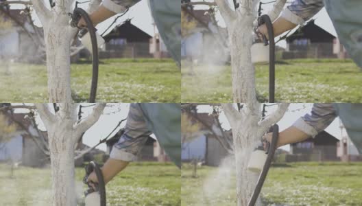 男园丁用白色粉笔喷雾器在果园里画树，季节性的在果园里春夏秋冬工作。高清在线视频素材下载