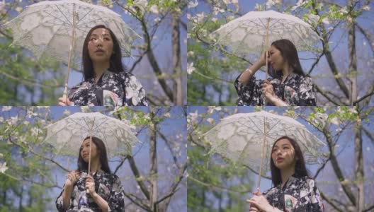 中景美丽的年轻苗条的亚洲女人带着白色太阳伞和服站在阳光明媚的春天在公园四处看在慢动作触摸头发。自然美景的概念。高清在线视频素材下载