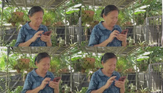 身着休闲装的亚洲老奶奶在花园里用智能手机上的应用程序与孙女视频通话。高清在线视频素材下载