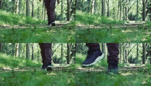 慢镜头的人和行走在森林的自然方式高清在线视频素材下载