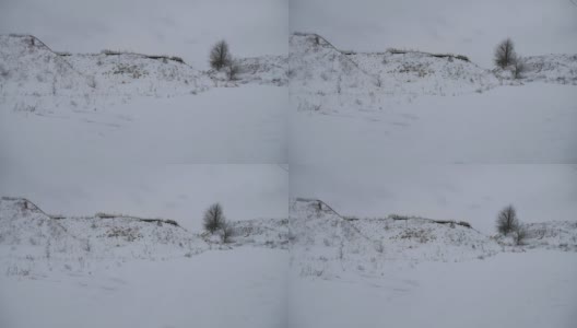 山峦小，在冰雪皑皑的冬季俄罗斯户外自然景观高清在线视频素材下载