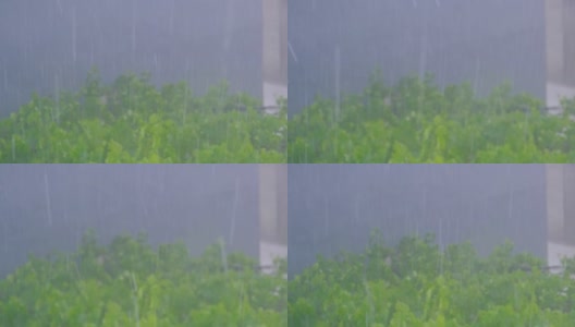 大雨，金属屋顶和雾蒙蒙的布尔萨市。高清在线视频素材下载