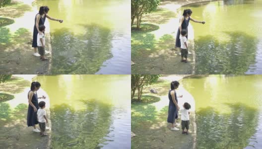 母亲和儿子在公园的池塘里喂鱼食高清在线视频素材下载