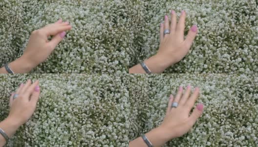 一个女人的手涂着漂亮的指甲，戴着银饰，触摸着可爱的小白花。有许多微型花的花束高清在线视频素材下载