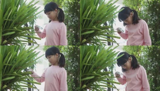 小科学家小女孩用放大镜探索观察绿色植物的叶子高清在线视频素材下载