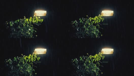 暴风雨中的城市街灯高清在线视频素材下载