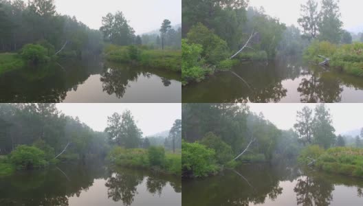 空中视频。夏季森林里有一条小山河高清在线视频素材下载