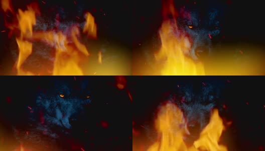 狼咆哮与发光的眼睛在火抽象高清在线视频素材下载