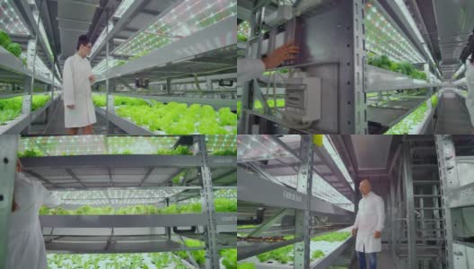 科学家和农民组成一个团队，利用现代科技笔记本电脑和平板电脑，在人工环境中创造干净的植物高清在线视频素材下载