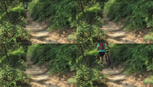 女自行车手越野自行车在热带雨林高清在线视频素材下载