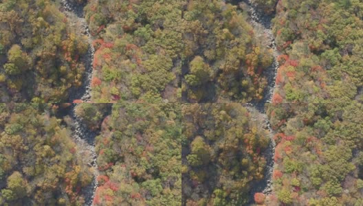 山谷里的秋叶由无人机从空中拍摄高清在线视频素材下载
