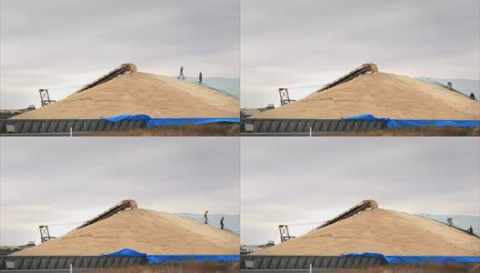 覆盖了风暴中收获的小麦高清在线视频素材下载