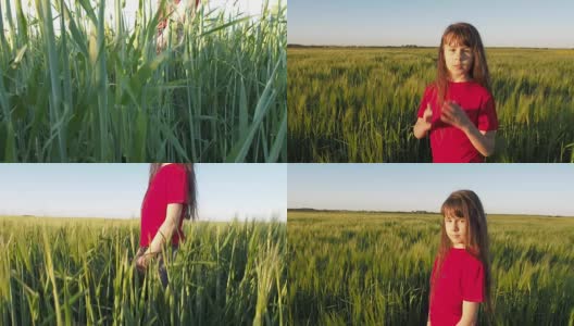 麦田里快乐的孩子高清在线视频素材下载