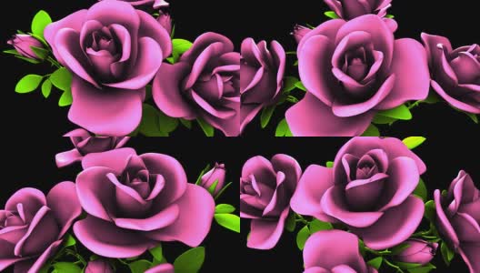 黑色背景上的粉色玫瑰花束高清在线视频素材下载