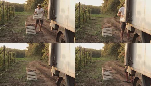 农民用卡车运送装着蔬菜的箱子高清在线视频素材下载