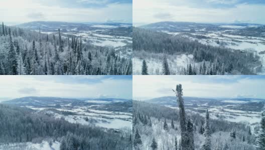 鸟瞰图，穿越积雪覆盖的森林在冬天的一天高清在线视频素材下载