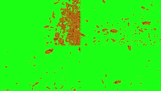 爆炸性的秋叶飘落，绿屏色度键可编辑背景高清在线视频素材下载