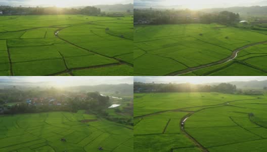 鸟瞰大片农田，河流穿过的稻田。泰国北部南省农村地区的农业生活方式。高清在线视频素材下载