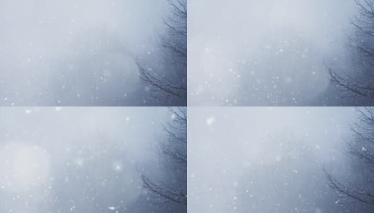 4k视频冬季森林与飘落的雪。新年圣诞节背景。高清在线视频素材下载