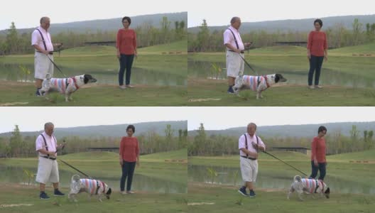 亚洲老年夫妇与狗在假期高清在线视频素材下载