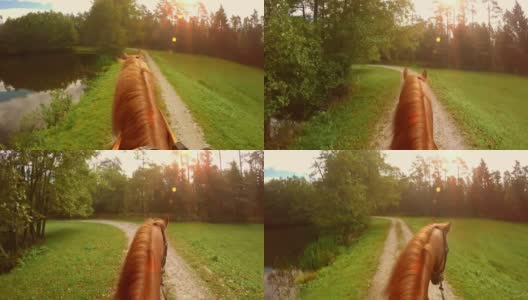 POV在阳光下沿着湖边骑马高清在线视频素材下载
