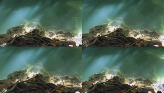 水中日出的倒影高清在线视频素材下载