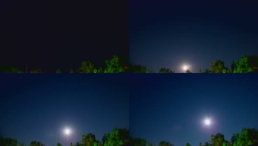 月亮在星空和树木的背景下从地平线上升起高清在线视频素材下载