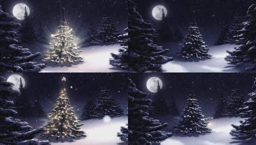 圣诞树在晚上装饰的北极星。高清在线视频素材下载
