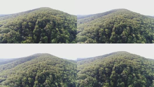 山和绿色的森林，从空中看。高清在线视频素材下载