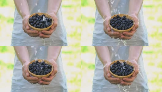 有机水果和蔬菜。农民手拿新鲜收获的水果和蔬菜。蓝莓——慢动作高清在线视频素材下载