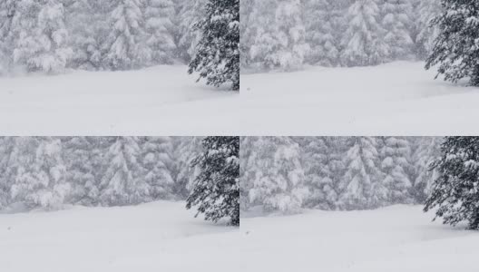 POV，在一个白雪皑皑的冬天里拍视频。高清在线视频素材下载