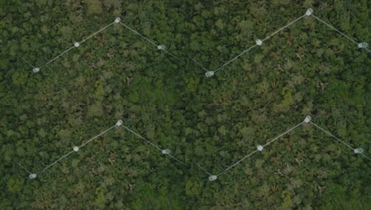Lekki保护中心拥有非洲最长的树冠走道高清在线视频素材下载
