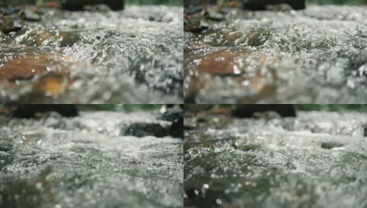 在自然森林里水流湍急高清在线视频素材下载