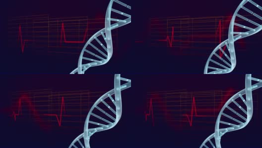 DNA旋转和心跳线高清在线视频素材下载