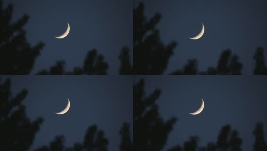 一弯新月挂在天空中，前景是随风飘动的树木高清在线视频素材下载