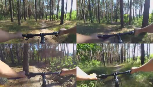 在一个阳光明媚的夏日午后，一个男人骑着自行车在松林里骑行高清在线视频素材下载