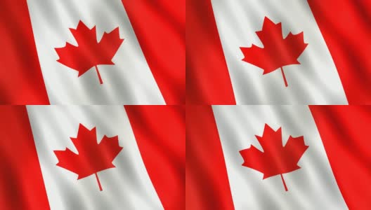加拿大国旗(循环视频)高清在线视频素材下载