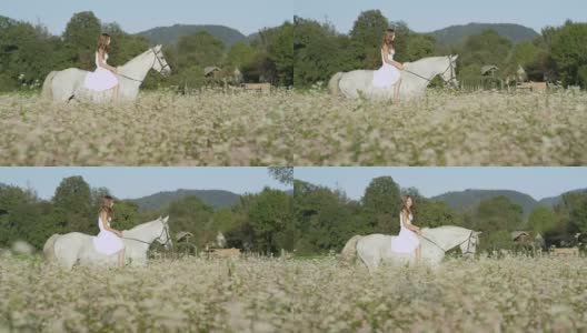 慢镜头:身着白衣的快乐女孩骑着白马在盛开的田野里高清在线视频素材下载