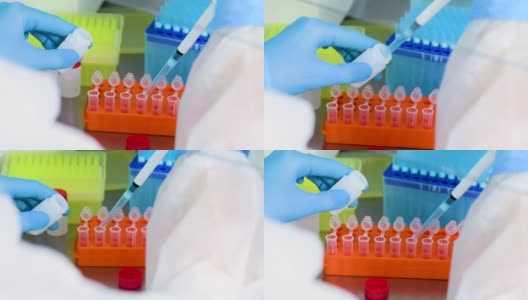 这是聚合酶链反应实验室工作人员的手的特写镜头，他们戴着橡胶手套，手持一个装有病毒或疫苗液体样本的分配器高清在线视频素材下载